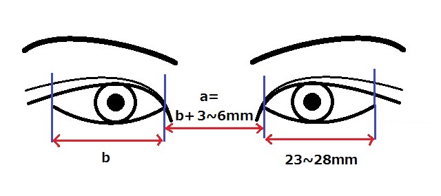 目頭間距離.jpg
