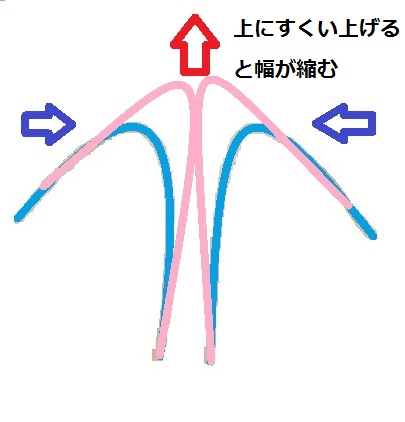 鼻尖軟骨切除無し縫縮図.jpg