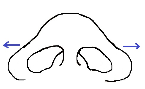 鼻模式図横広.jpg