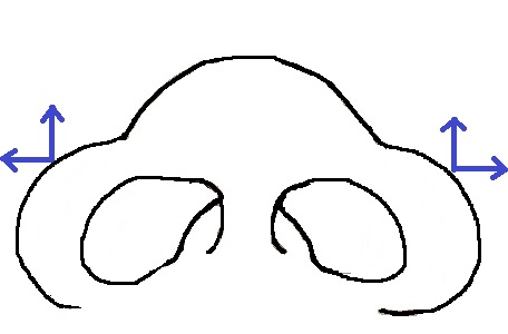 鼻模式図横縦広.jpg