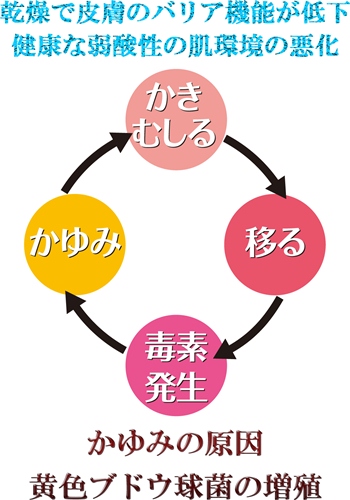 kayumi_circle3ss.jpg