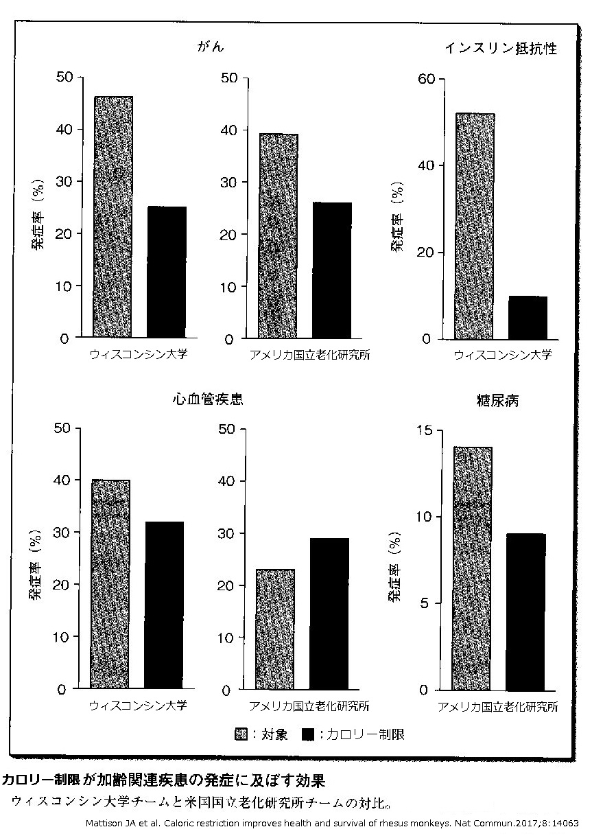 カロリー制限実験.jpg