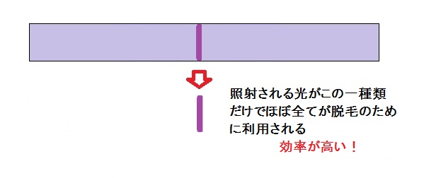 レーザー脱毛模式図.jpg