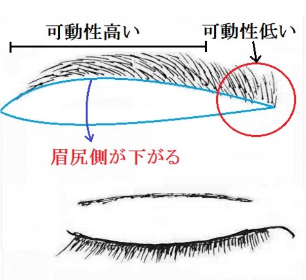 切開 眉 下