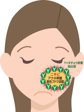 nikibi-kao.jpg