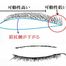 ☆眉下切開の押さえておくべきこと☆／奈良・東大阪・京都・三重・和歌山