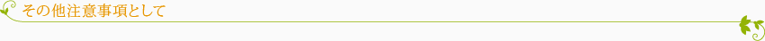 その他注意事項として