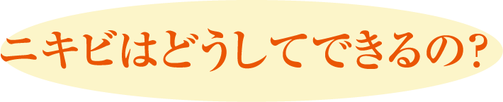 ニキビはどうしてできるの？