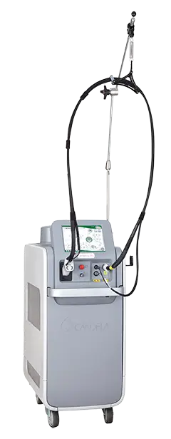 ジェントルマックス プロ