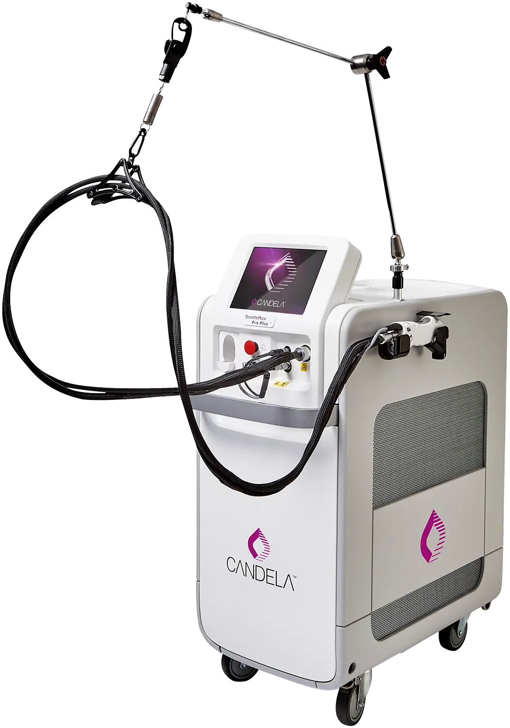 ジェントルマックス プロ プラス